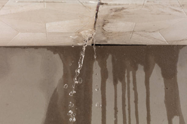 Professional Structural Drying technician working in Galena, IN